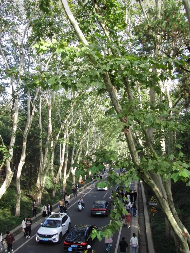 200万像素+1寸屏幕能录27K麻将胡了135元的“眼镜相机”1(图6)